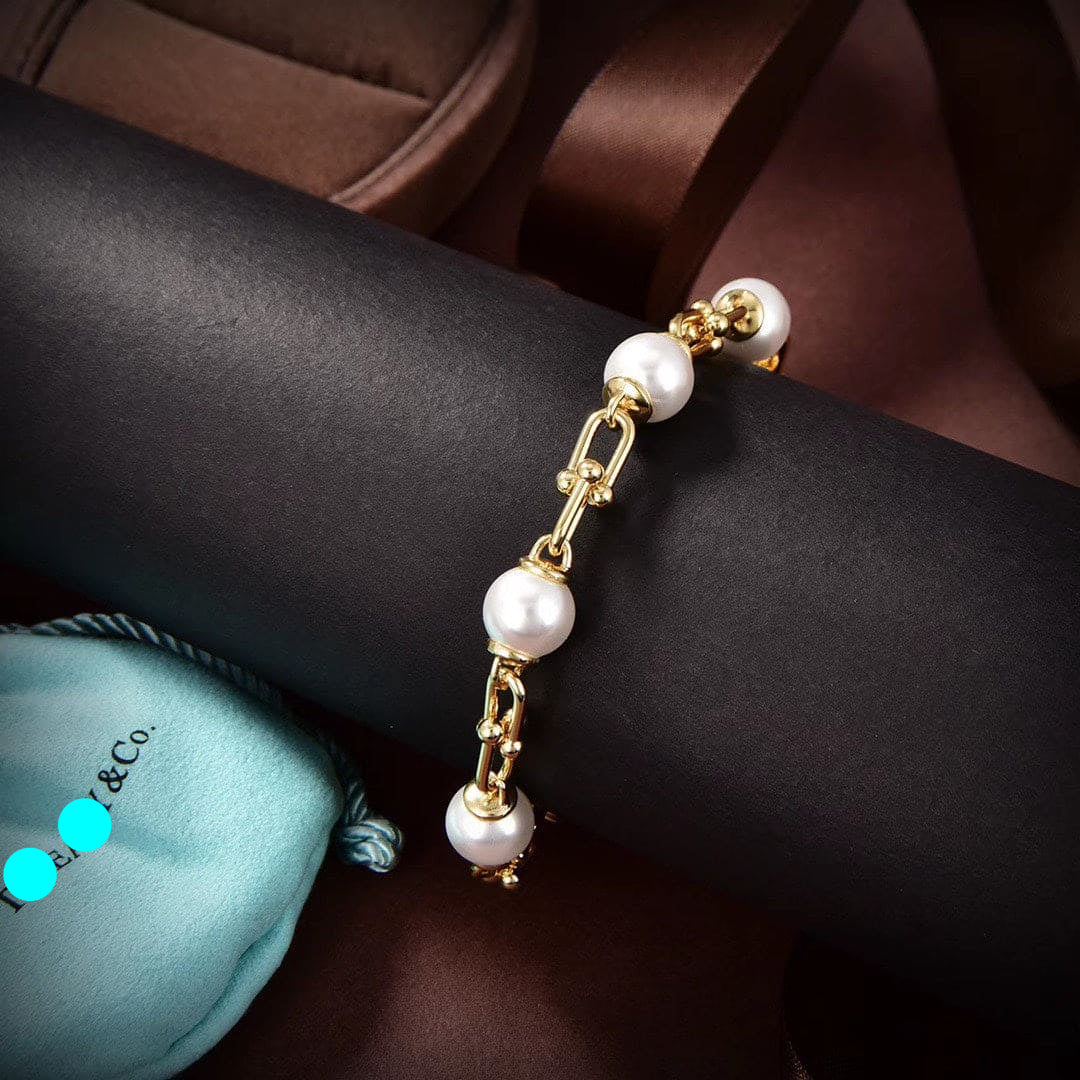Tiffany HardWear Link Bracelet