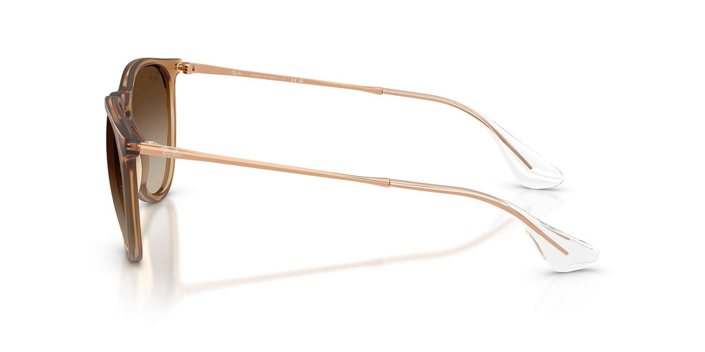 Ray-Ban Erika RB 4171 6814/13 - As Seen On David Warner