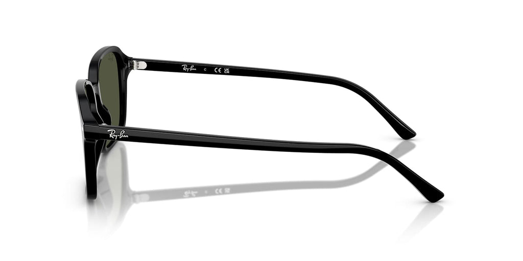 Ray-Ban Raimond RB 2231 901/31