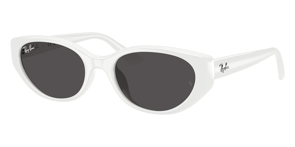 Ray-Ban RB 4457D 6772/87